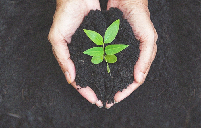 Composition of an environmentally friendly portfolio